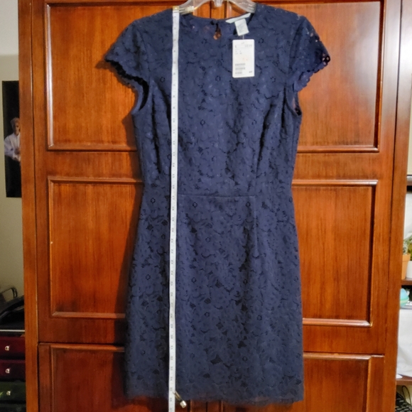 NWT! H&M Blue Lace Floral Embroidered Cap Sleeve Fit & Flare Round Neck Size 6 - Picture 2 of 9